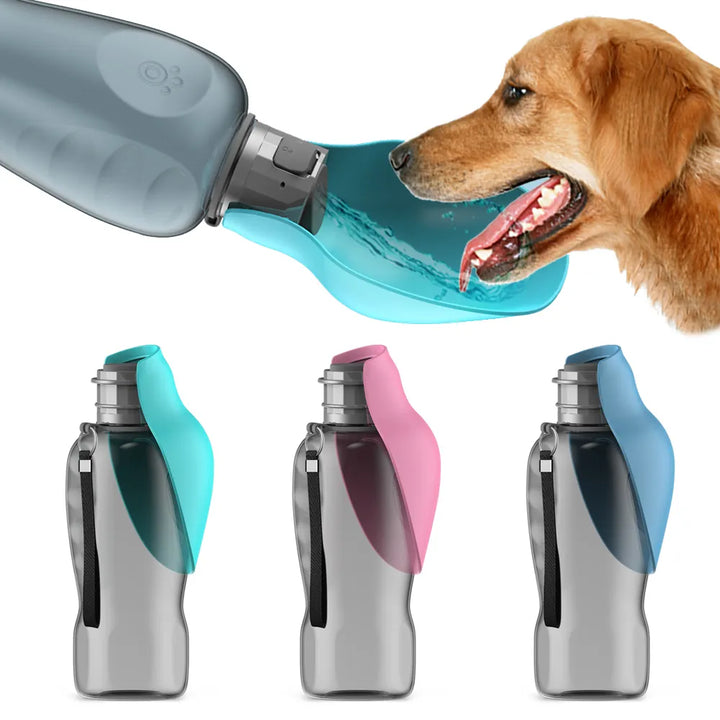 800ml Portable Dog Water Bottle For Big Dogs Your Best Offers Store